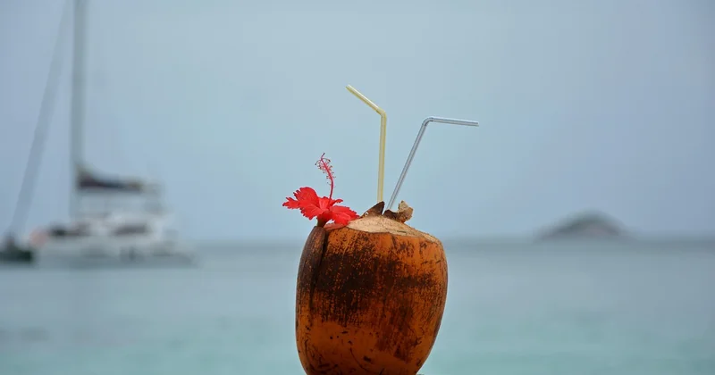 La végétation luxuriante : entre cocotiers et coco de mer